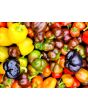 Sweet Pepper 'Mini Orange Bell' Seeds (Certified Organic)