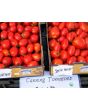 Tomato 'Amish Paste'