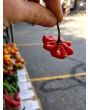 Hot Pepper ‘Brazilian Starfish' Seeds (Certified Organic)