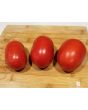 Tomato 'Heinz Super Roma' 