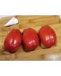 Tomato 'Scatalone 2'