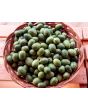 Cucumber 'Mouse Melon' or 'Mexican Sour Gherkin' 