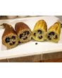 Gourd 'Sponge Luffa'