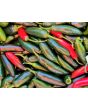 Hot Pepper ‘Serrano’ Seeds (Certified Organic) 