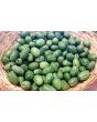 Cucumber 'Mouse Melon' or 'Mexican Sour Gherkin' 