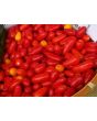 Hot Pepper ‘Pequin’ 