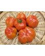 Tomato 'Striped Cavern' Seeds (Certified Organic)