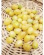 Tomato 'Barry's Crazy Cherry' 