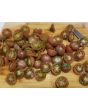 Tomato 'Black Cherry'