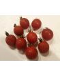 Tomato 'Sweet Raisin' AKA 'Tomaccio'