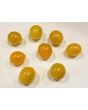 Tomato 'Blondkopfchen' 