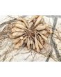 Dahlia 'Red Pompon' Tubers - Shipping 2025 Spring - Harvested on our Farm - USDA Certified Organic