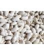 Pole Bean 'Helda' 