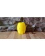 Spongebob Squarepants' Pineapple House 3D Printed Planter