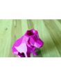 Dog 3D Printed Planter