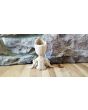 Guardians of the Galaxy Baby Groot 3D Printed Planter Made With Wood Filament