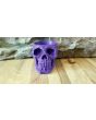 Day of the Dead Skull 3D Printed Planter
