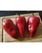 Hot Pepper ‘Chilhuacle Rojo' Seeds (Certified Organic)