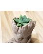 Guardians of the Galaxy Smiling Baby Groot Torso 3D Printed Planter Made With Wood Filament