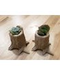 Tree Stump 3D Printed Planter Made With Wood Filament