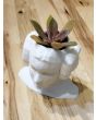Star Wars Princess Leia 3D Printed Planter