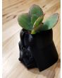 Star Wars Darth Vader 3D Printed Planter