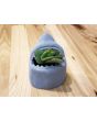 Jaws Shark 3D Printed Planter