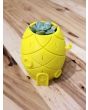 Spongebob Squarepants' Pineapple House 3D Printed Planter