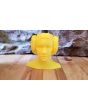 Star Wars Princess Leia 3D Printed Planter