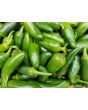 Pepper HOT 'Jalapeno' Plant 