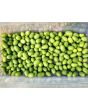 Cucumber 'Mouse Melon' or 'Mexican Sour Gherkin' 