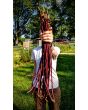 Pole Yard Long Bean 'Chinese Red Noodle' 
