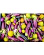 Eggplant ‘Tsakoniki’ 