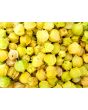 Ground Cherry 'Pineapple' 