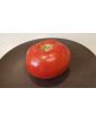 Tomato 'New Yorker' Seeds (Certified Organic)