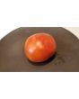 Tomato 'Beaverlodge Slicer' 
