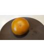 Tomato 'Thorburn's Terra Cotta' 