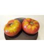 Tomato 'German Johnson' Seeds (Certified Organic)