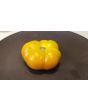 Tomato 'Rumi Banjan'