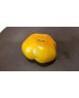 Tomato 'Rumi Banjan'