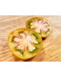 Tomato 'Thorburn's Terra Cotta' Plant 