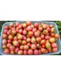 Tomato 'Garden Pearl' Seeds (Certified Organic)
