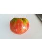 Tomato 'Purple Dog Creek' 