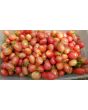 Tomato 'Pink Grape' 