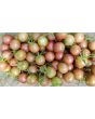 Tomato 'Chocolate Cherry'