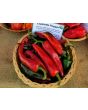 Hot Pepper ‘Espelette’