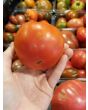 Tomato 'Cannonball' Seeds (Certified Organic)