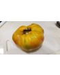 Tomato 'Walter's Candy Stripe' 