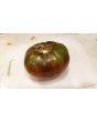 Tomato 'Black Mystery'