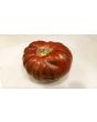 Tomato 'Girl Girl's Weird Thing' 